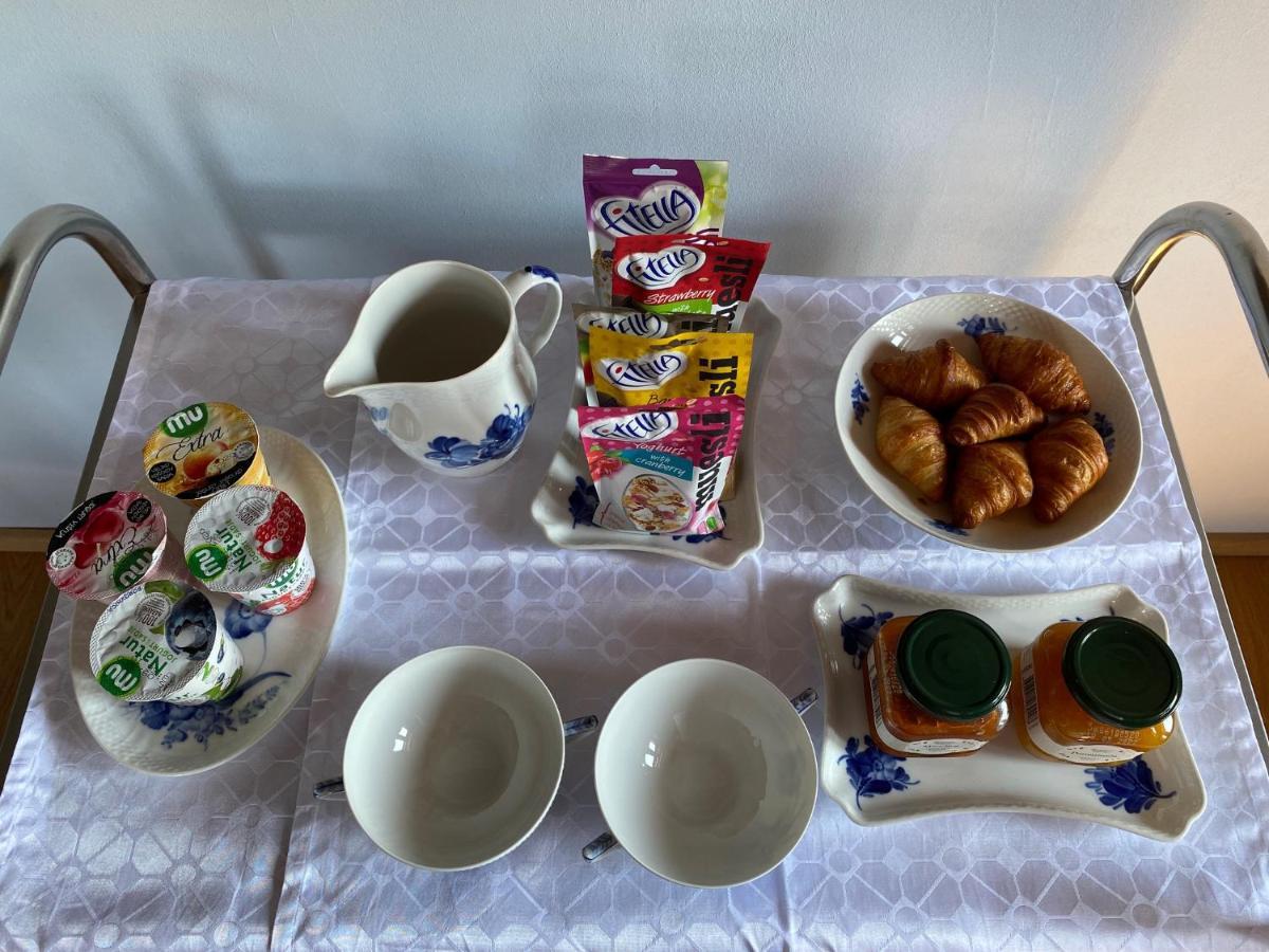 Villa Ruska Daca 卢布尔雅那 外观 照片